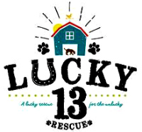 Lucky 13 Pet Rescue